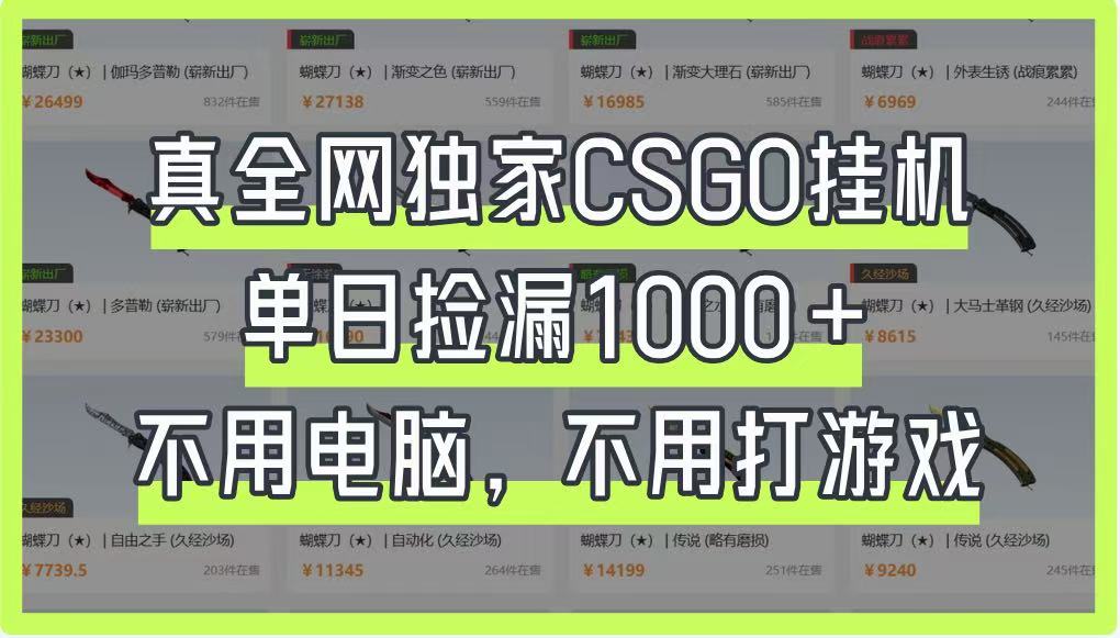 真全网独家CSGO挂机，单日捡漏1000+，不用电脑，不用养号-卡益网