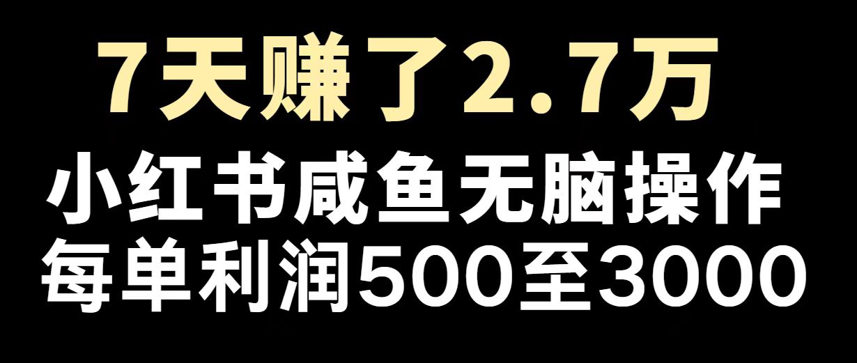 最赚钱项目之一，2025爆火，逆风翻盘！-卡益网