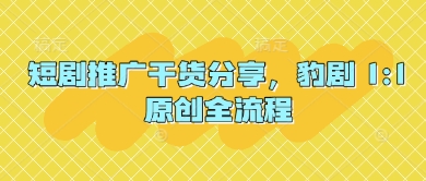短剧推广干货分享，豹剧 1:1原创全流程-卡益网