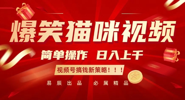 爆笑猫咪视频：简单操作，日入过K，视频号搞钱新策略【揭秘】-卡益网