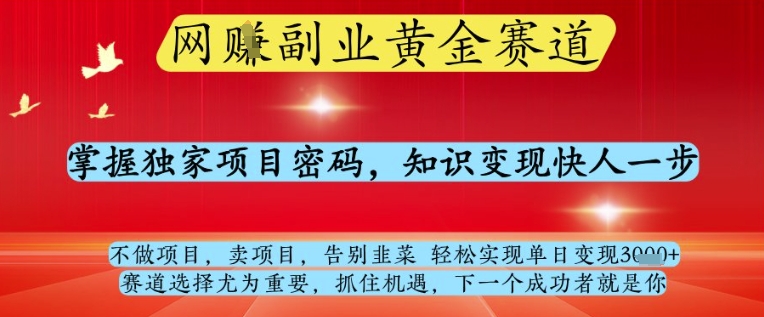网创副业黄全赛道，掌握独家项目密码，知识变现快人一步，告别韭菜轻松实现单日变现1k+【揭秘】-卡益网