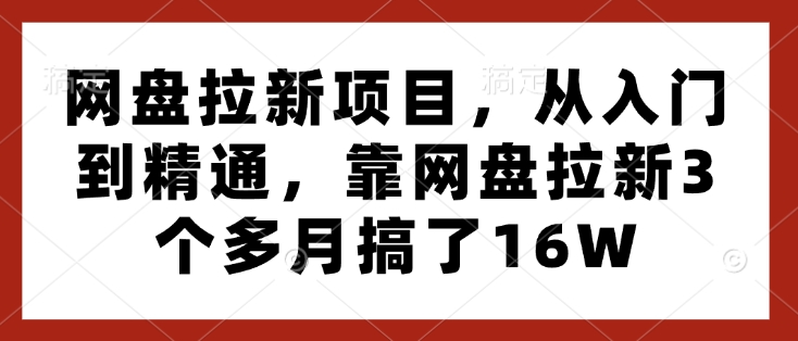 网盘拉新项目，从入门到精通，靠网盘拉新3个多月搞了16W-卡益网