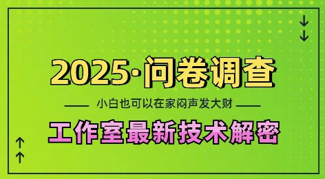 2025问卷调查最新工作室技术解密：一个人在家也可以闷声发大财，小白一天2张，可矩阵放大【揭秘】-卡益网