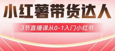 小红薯达人带货启航计划，3节直播课从0-1入门小红书-卡益网