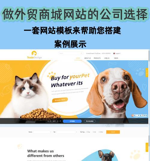 外贸网站建设需要多少钱？如何选择合适的网站建设公司？