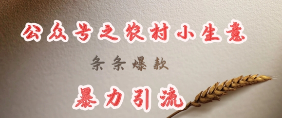 deepseek写农村小项目，条条爆款，暴力引流-卡益网