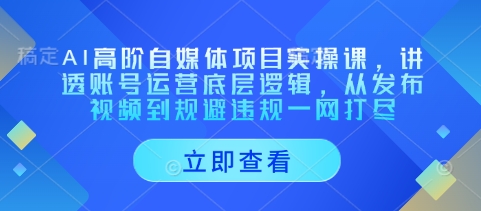 AI高阶自媒体项目实操课，讲透账号运营底层逻辑，从发布视频到规避违规一网打尽-卡益网