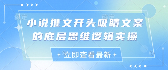 小说推文开头吸睛文案的底层思维逻辑实操-卡益网