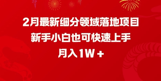 2月最新细分领域落地项目，新手小白也可快速上手，月入1W-卡益网