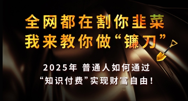 全网都在割你韭菜，我来教你做镰刀，2025年普通人如何通过 知识付费 实现财F自由【揭秘】-卡益网