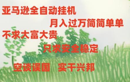 亚马逊全自动浏览挂机-卡益网