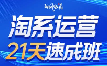 白凤电商·淘系运营21天速成班(更新4月)-卡益网