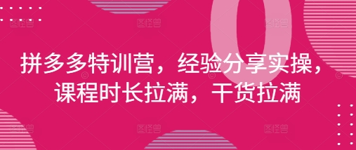 拼多多特训营，经验分享实操，课程时长拉满，干货拉满(更新25年4月)-卡益网