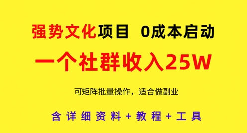 强势文化项目，一个社群收入25个W，0成本启动，可矩阵批量操作，原创详细实操教程-卡益网