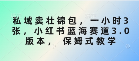 私域卖壮锦包，一小时3张，小红书蓝海赛道3.0版本， 保姆式教学-卡益网激活码商城