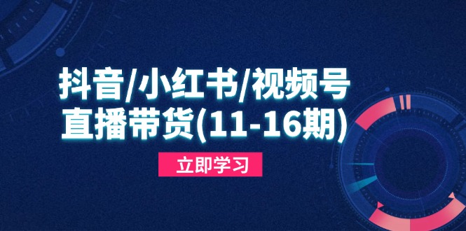 抖音/小红书/视频号/直播带货(11-16期-卡益网