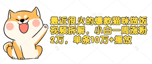 最近很火的爆款猫咪做饭视频拆解，小白一周涨粉2万，单条10万+播放(附保姆级教程)-卡益网