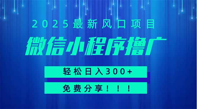 微信小程序撸广，最新风口项目，日入300+ 免费分享 可批量操作 小白可…-卡益网