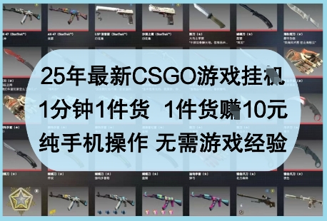 25年最新CSGO游戏挂G，1分钟1件货，1件货挣10元，纯手机操作，无需游戏经验【揭秘】-卡益网