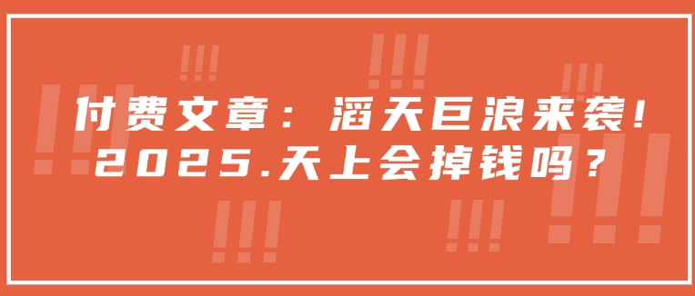 付费文章：滔天巨浪来袭！2025天上会掉钱吗？-卡益网
