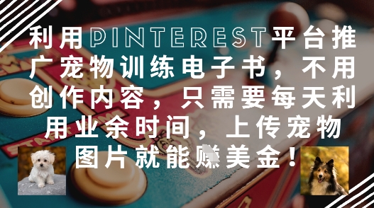 利用Pinterest平台推广宠物训练电子书，不用创作内容，只需要每天利用业余时间，上传宠物图片就能挣美金!-卡益网