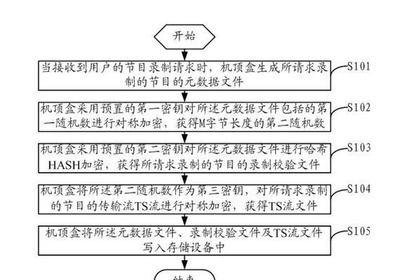 视频脚本编写时如何平衡信息量与观看时长？
