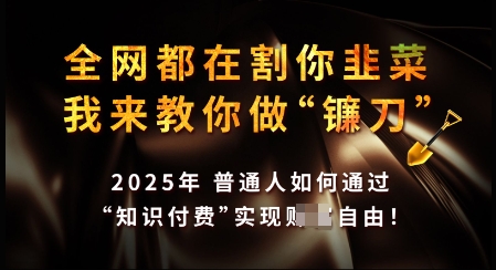 知识付费如何做到月入过W+，2025我来教你做“镰刀”【揭秘】-卡益网