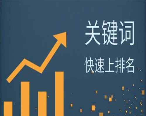 如何提高网站的关键词seo排名？有效策略有哪些？