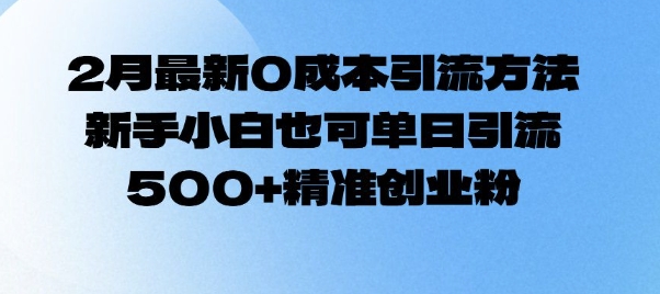 2月最新0成本引流方法，新手小白也可单日引流500+精准创业粉-卡益网