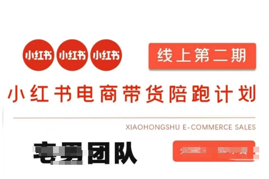 小红书电商带货课2期，月利润20个的小红书电商的有货源，无货源，虚拟产品，付费投流等整套玩法-卡益网