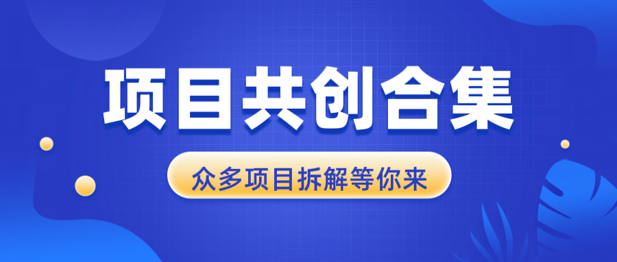 项目共创合集，从0-1全过程拆解，让你迅速找到适合自已的项目-卡益网