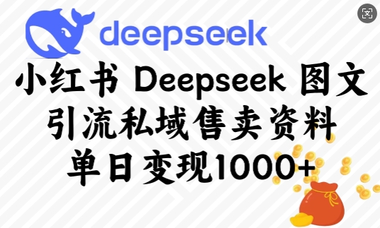 小红书Deepseek图文引流私域售卖资料，单日变现多张-卡益网