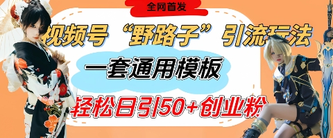 视频号“野路子”玩法，评论区疯狂截流，一套模板单日单号引流50+创业粉-卡益网