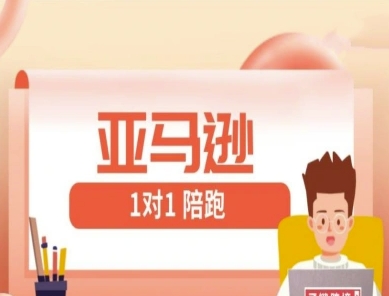 亚马逊1对1陪跑课(FBA/FBM精铺)跨境亚马逊教程-卡益网