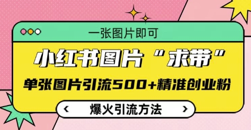 小红书图片‘求带’爆火引流法，单张图片引流500+精准创业粉【揭秘】-卡益网