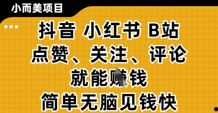 小而美的项目，抖音小红书B站视频点赞、关注、评论就能挣钱，简单无脑立见收益，妥妥的零撸项目【揭秘】-卡益网