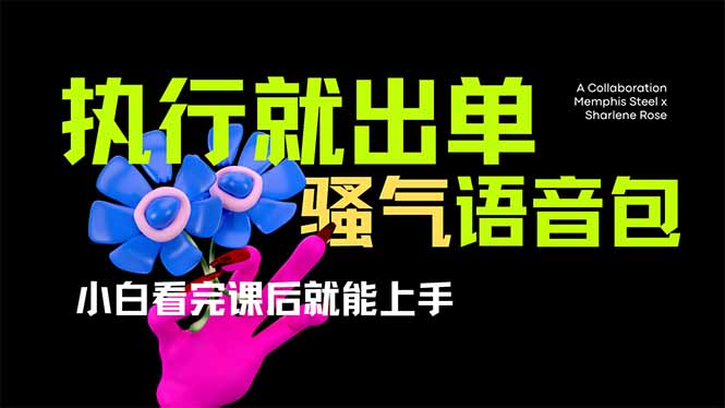 爆火全网的开车导航骚气语音包,只要执行就出单，小白看完课程就能实操…-卡益网