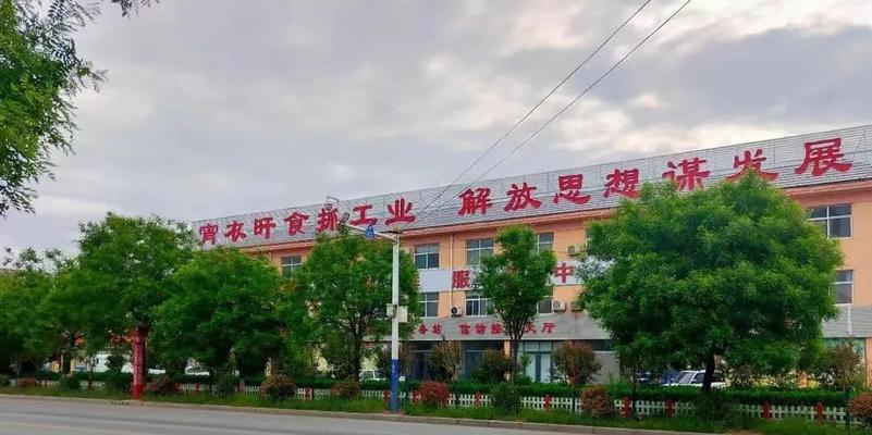 临邑网站建设如何选择合适的域名？