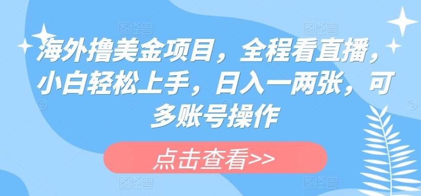 海外撸美金项目，全程看直播，小白轻松上手，日入一两张，可多账号操作【揭秘】-卡益网