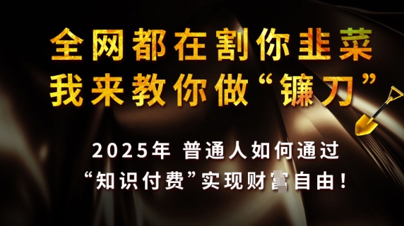 全网都在割你韭菜，我来教你做镰刀，2025普通人如何通过知识付费，实现财F自由【揭秘】-卡益网